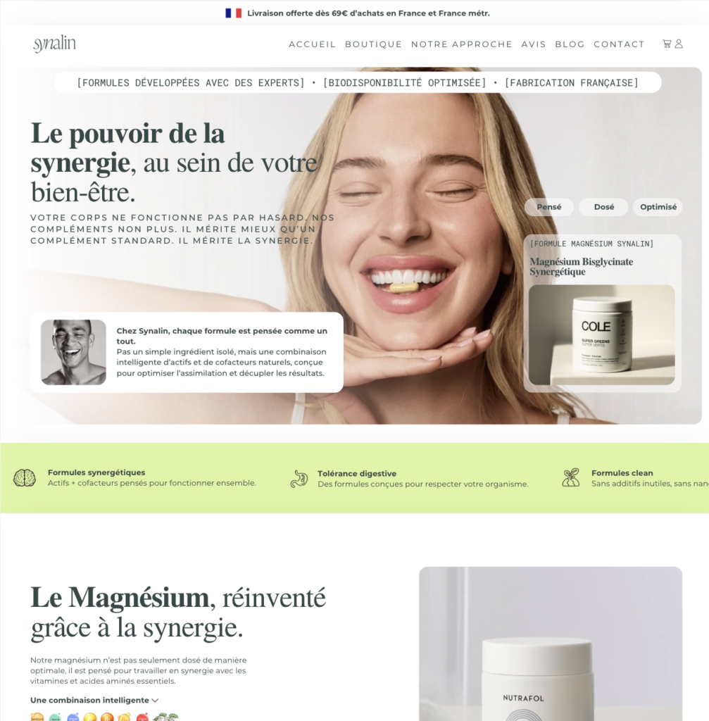 Wireframe Synalin
