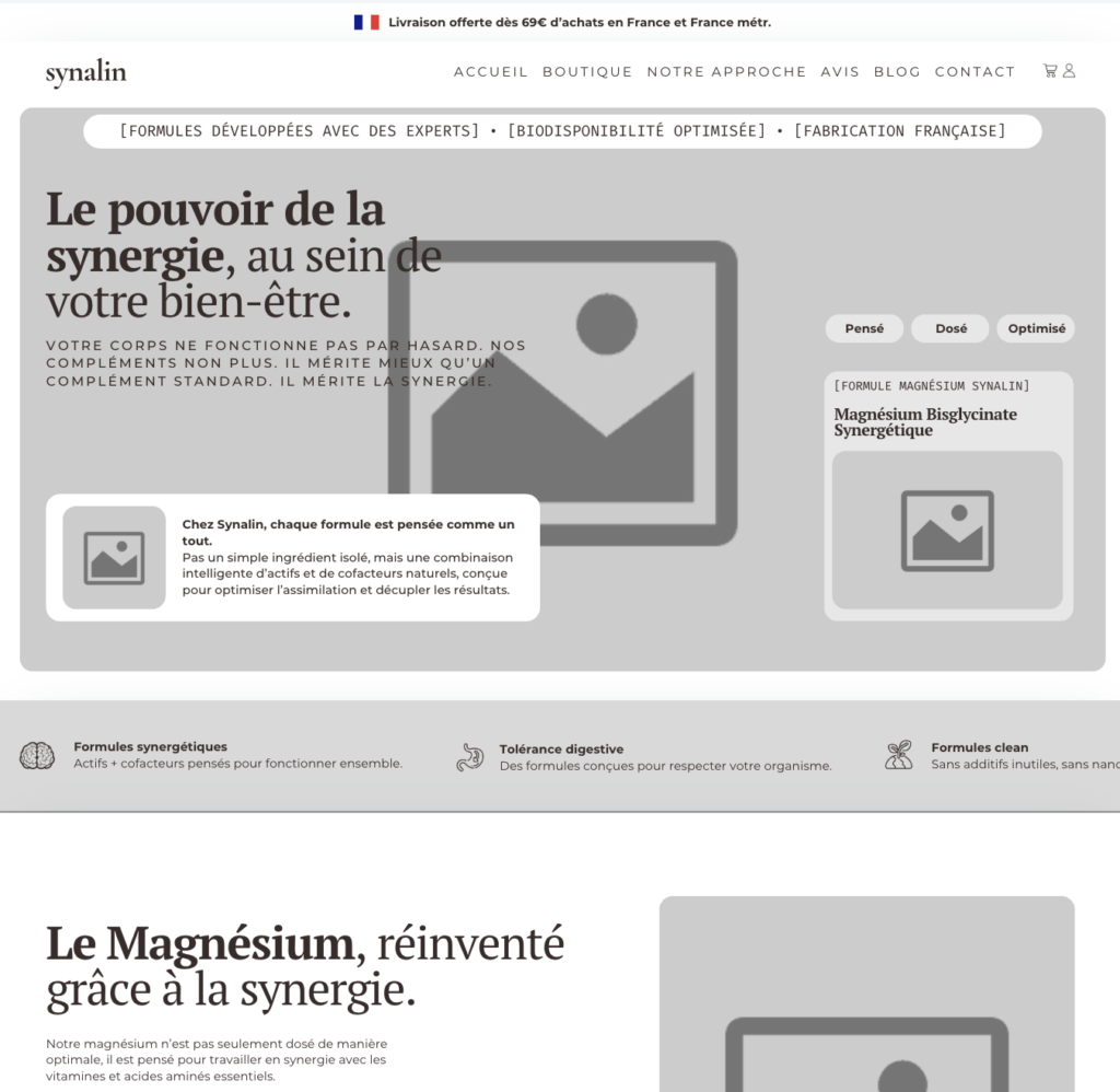 Wireframe Synalin