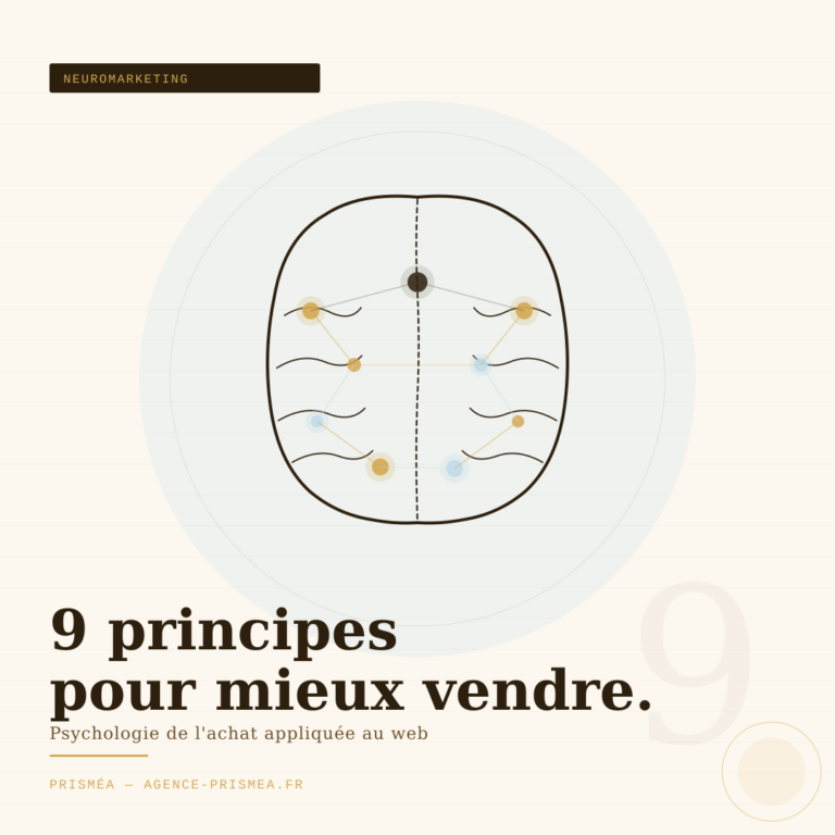 Schéma neuromarketing biais cognitifs décision achat site web