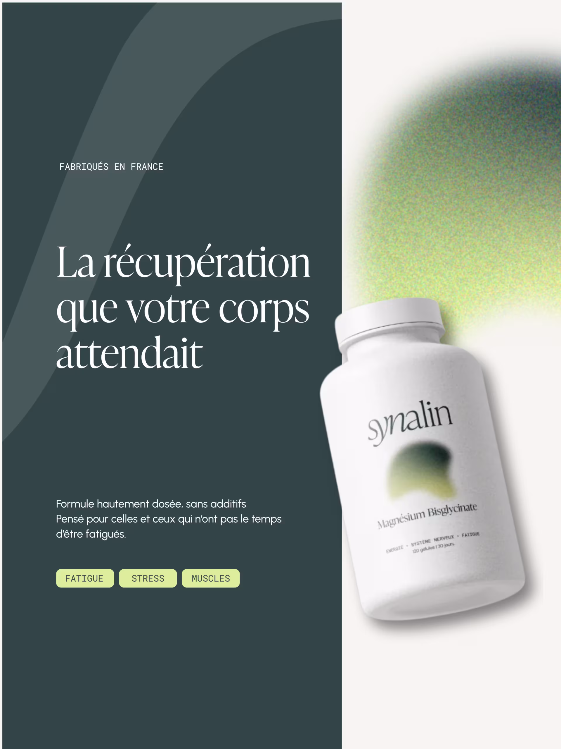 Carrousel Instagram Synalin, visuel 1
